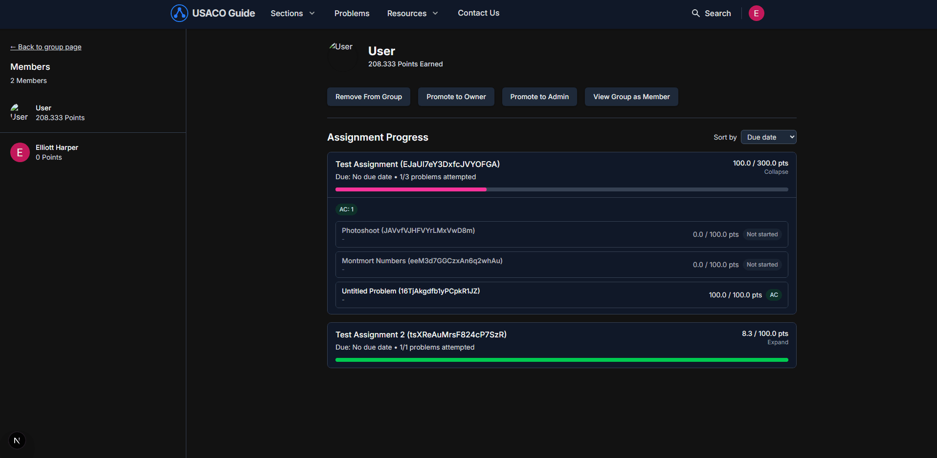USACO Guide: Groups Student Assignment Progress Manager